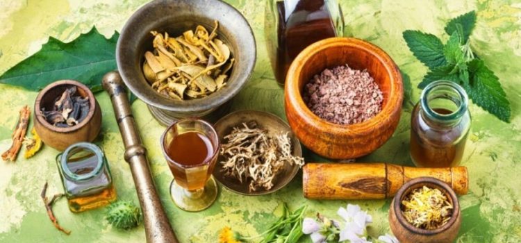 Menelusuri Bahan Baku Herbal Terbaik Nusantara