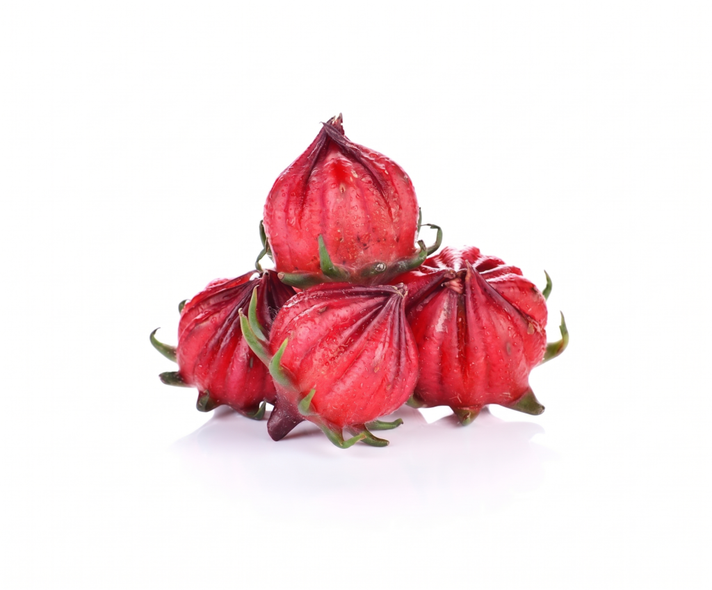 Rosella untuk hipertensi