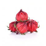 Rosella untuk hipertensi