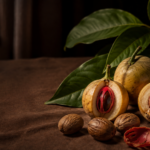Buah dan biji pala Myristica fragrans sebagai rempah tradisional yang dikaji untuk mendukung tidur