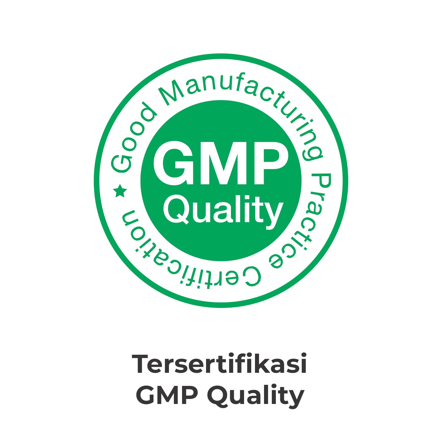 GMP Logo